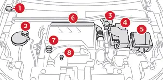 Citroen C4. Engine compartment